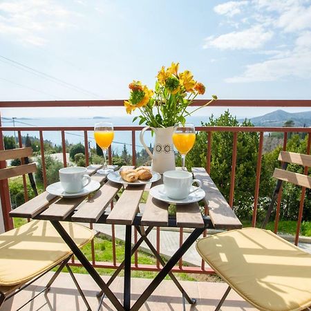 Villa Pergola-Apartment Toni Mlini Dış mekan fotoğraf